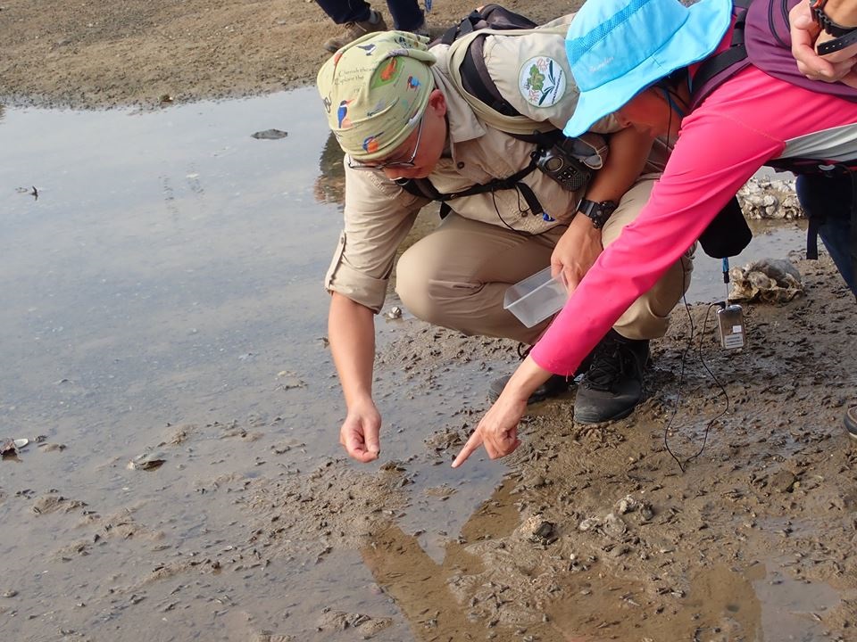 可持續大嶼辦事處在「生物多樣性節2018」中舉辦了工作坊和導賞團，透過手工藝製作及東涌河生態導賞，推廣大嶼山自然保育的重要性。